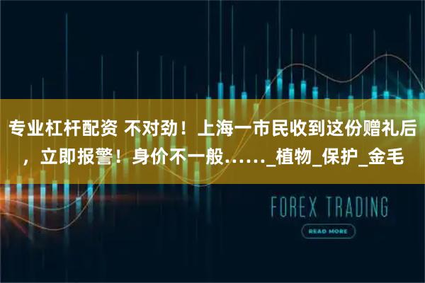 专业杠杆配资 不对劲！上海一市民收到这份赠礼后，立即报警！身价不一般……_植物_保护_金毛