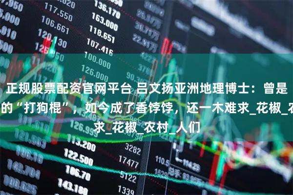 正规股票配资官网平台 吕文扬亚洲地理博士：曾是叫花子用的“打狗棍”，如今成了香饽饽，还一木难求_花椒_农村_人们