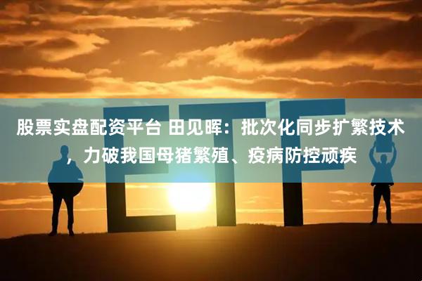 股票实盘配资平台 田见晖：批次化同步扩繁技术，力破我国母猪繁殖、疫病防控顽疾
