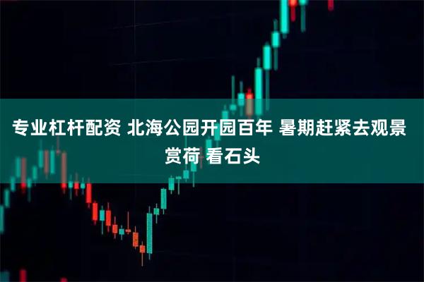 专业杠杆配资 北海公园开园百年 暑期赶紧去观景 赏荷 看石头