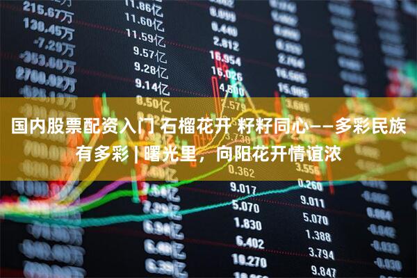 国内股票配资入门 石榴花开 籽籽同心——多彩民族有多彩 | 曙光里，向阳花开情谊浓